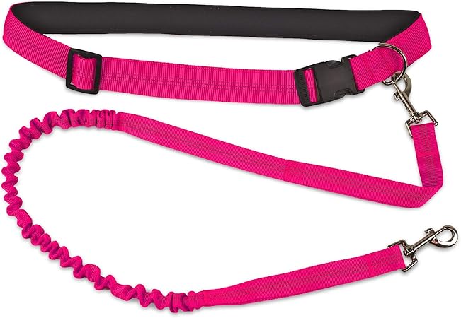 dog leash safety clip
