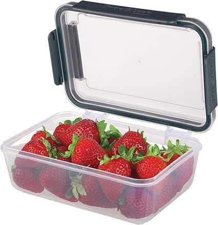 Progressive – Snaplock 4-cup contenedor de almacenamiento, azul, Gris