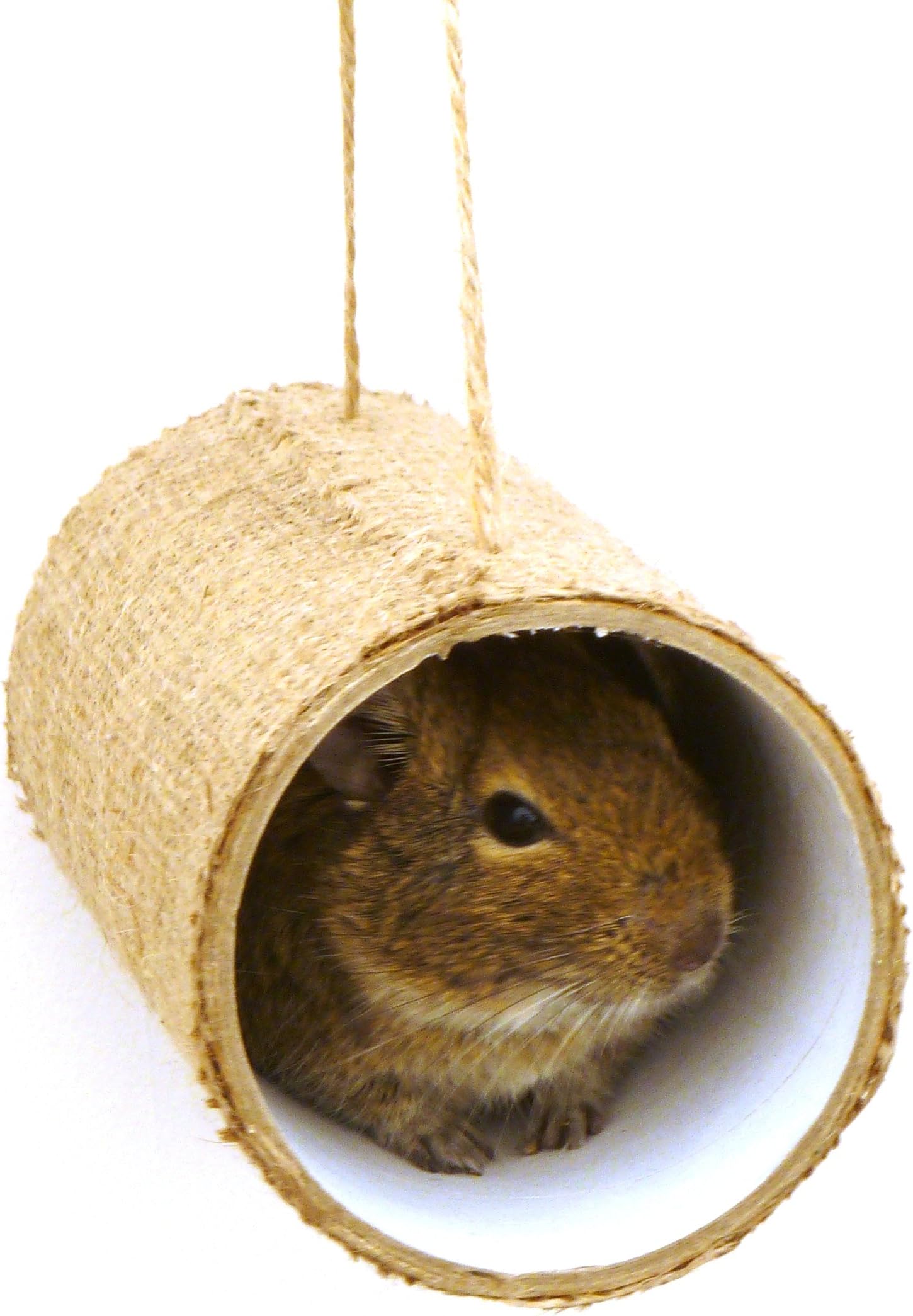 Premium Chewchewbs Totally Degu 2 pack