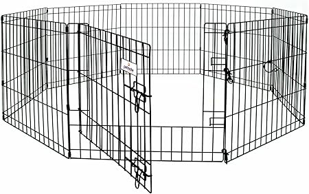 paws for life near me