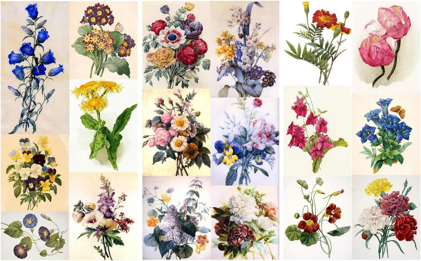 Decoupage Paper Pack (12 sheets A4 / 8"x11") Flowers Redoute