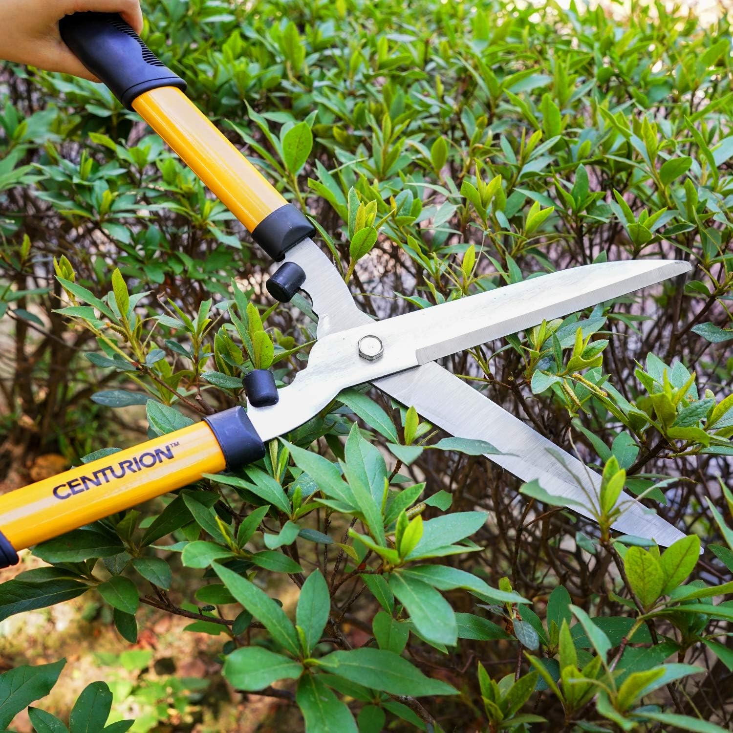 Centurion 511 Hedge Shears 8 Inch : Garden & Outdoor