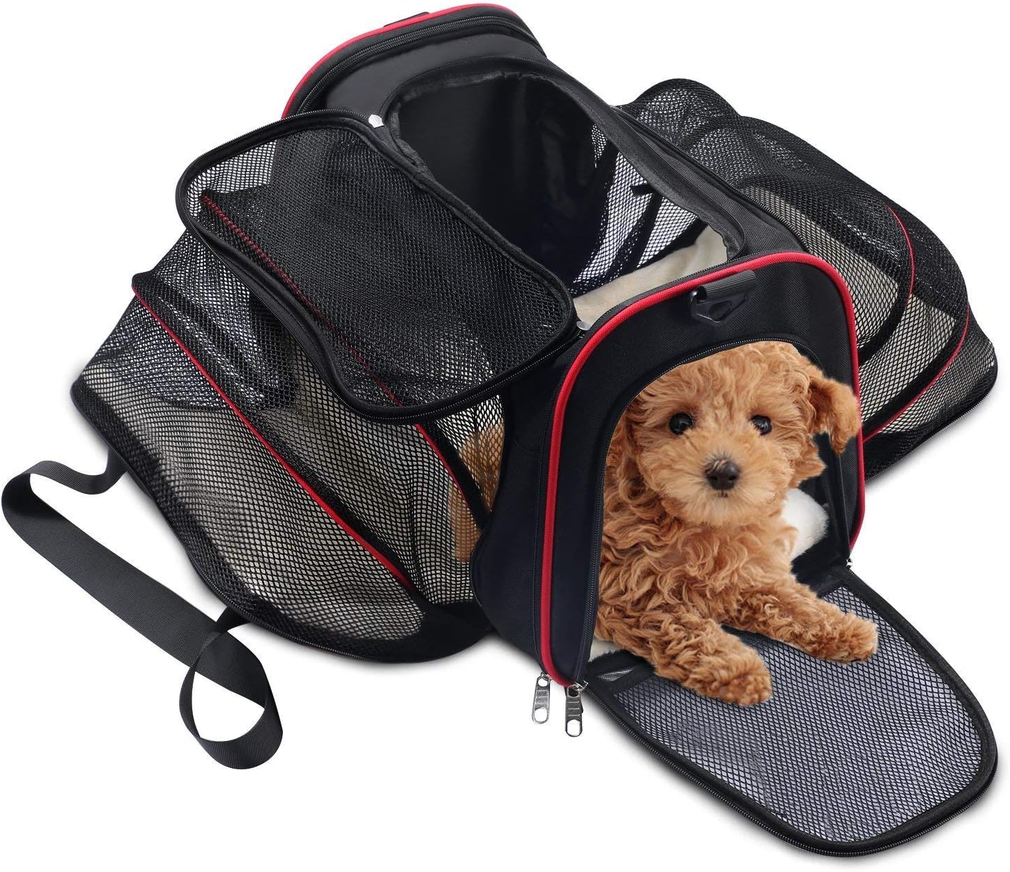 WOT I Pet Carrier, Soft Sided Foldable Cat Carrier, Large Size Dog Carrier Suitable for Small