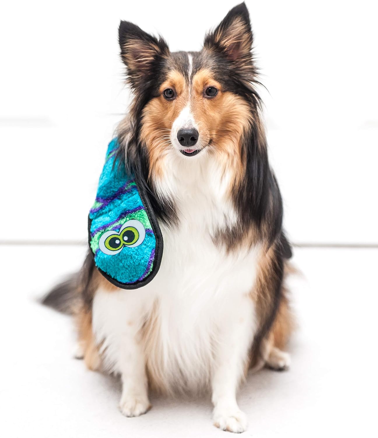 Pet Supplies : Pet Squeak Toys : Outward Hound Stuffingless Snake with Invincible Squeaker Plush Dog Toy : 