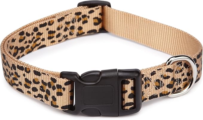 boy dog collars