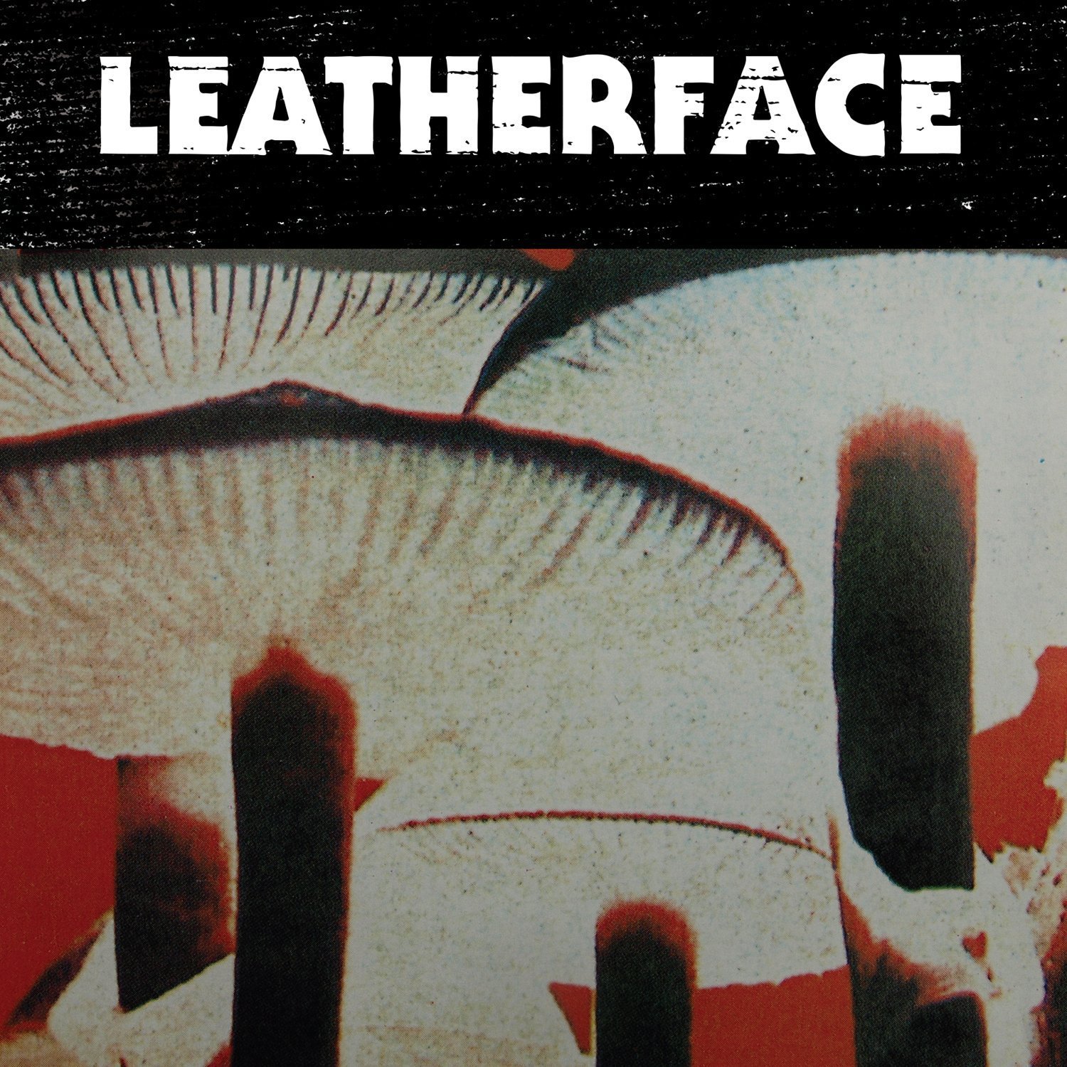 Mush : Leatherface: Amazon.fr: Musique