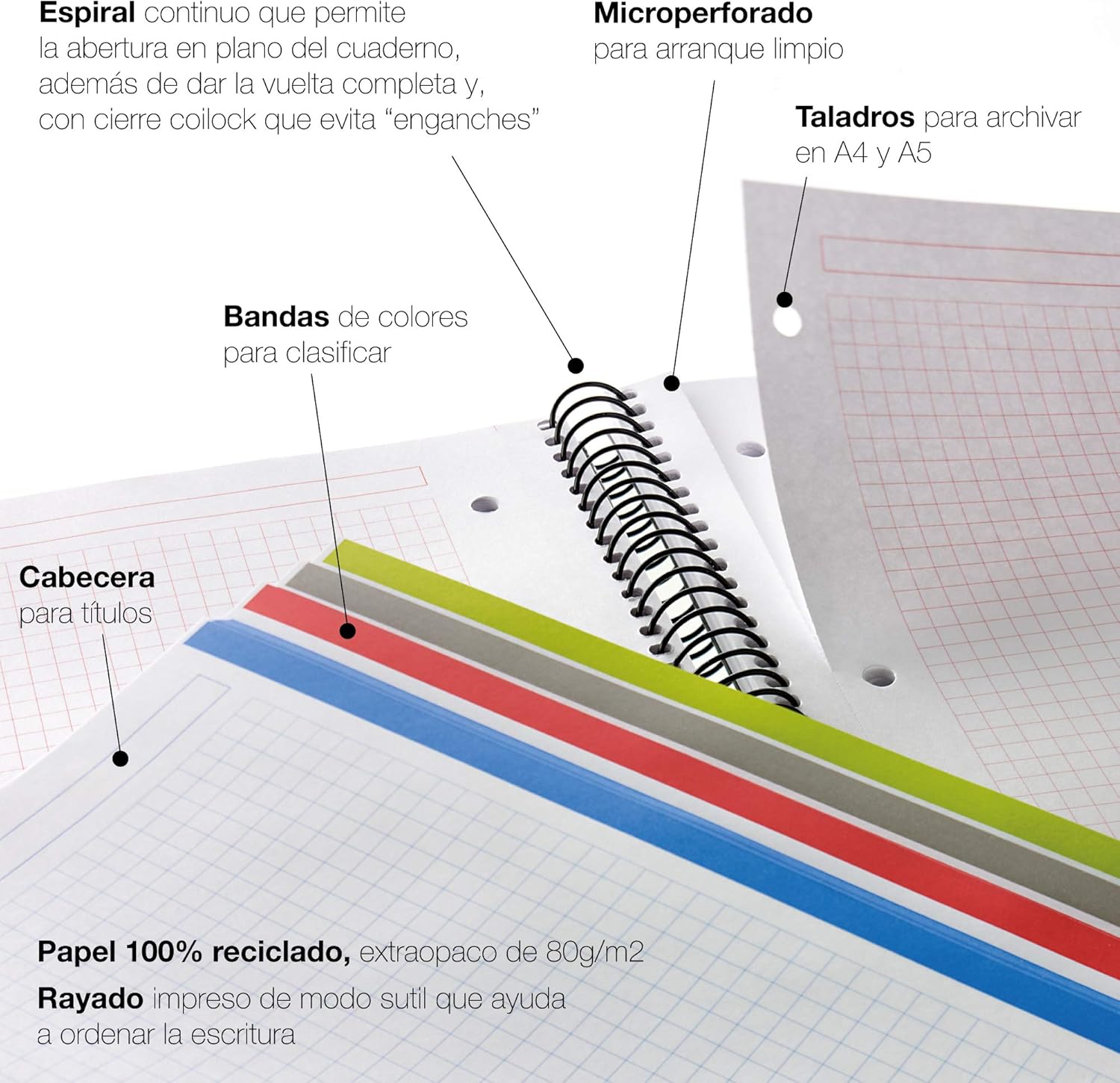 Miquelrius Notebook Recycling A5 Eco Sheets 120 Sheets - 80 g - 4 Ink Ribbons - Smooth Sheets, Eco Floglias - Image 5