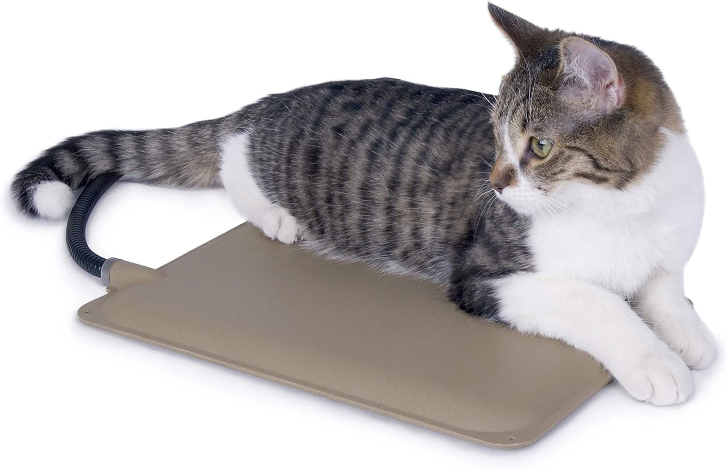 k&h extreme weather kitty pad