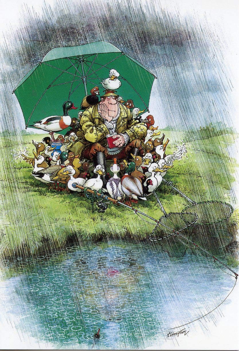 FISHING RAINY DUCK DAYS FUNNY HUMOROUS BIRTHDAY CARD THE FUNNY SIDE OF LIFE, green, 6 x 8.5 inch