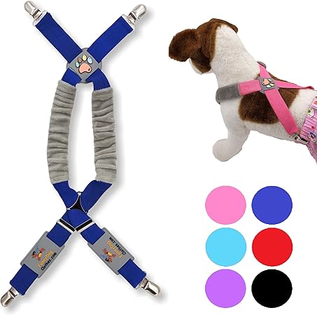 male dog wrap with suspenders