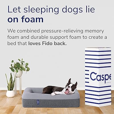 picture Casper Dog Bed Uk casper dog bed