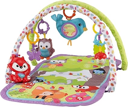 fisher price 3 in 1 activity gym