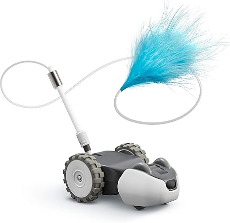 lovely roses teddy bear