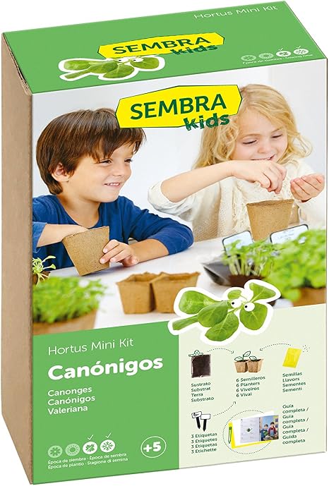 SEMBRA - juego educativo, Kit huerto Verduras de invierno: Amazon ...