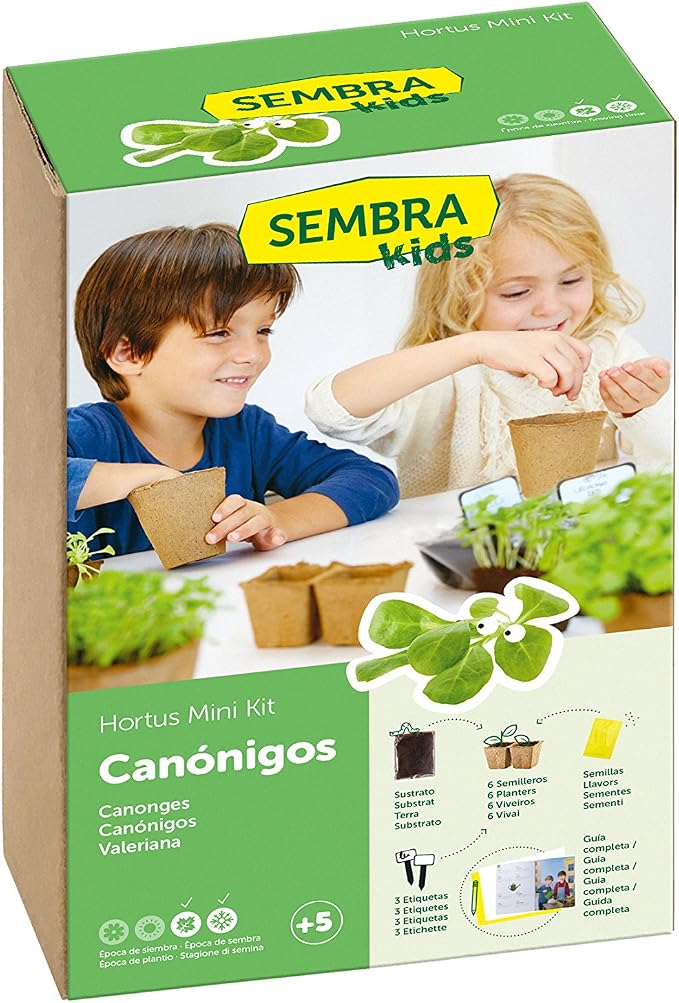 SEMBRA - juego educativo, Kit huerto Verduras de invierno: Amazon ...