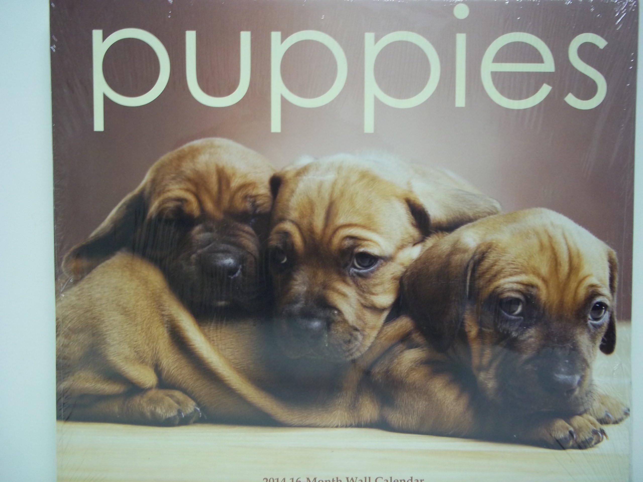 Puppies 2014 16-Month Wall Calendar 12in x 12in