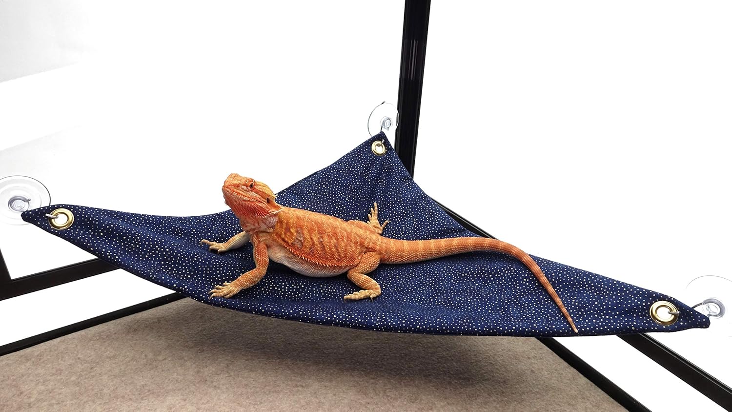 bearded dragon fabric