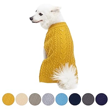 yellow dog jumper