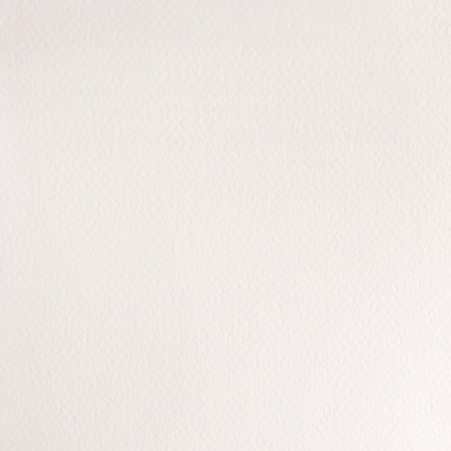 Winsor & Newton Half Pan Professional Water Colour - Chinese White - Image 3