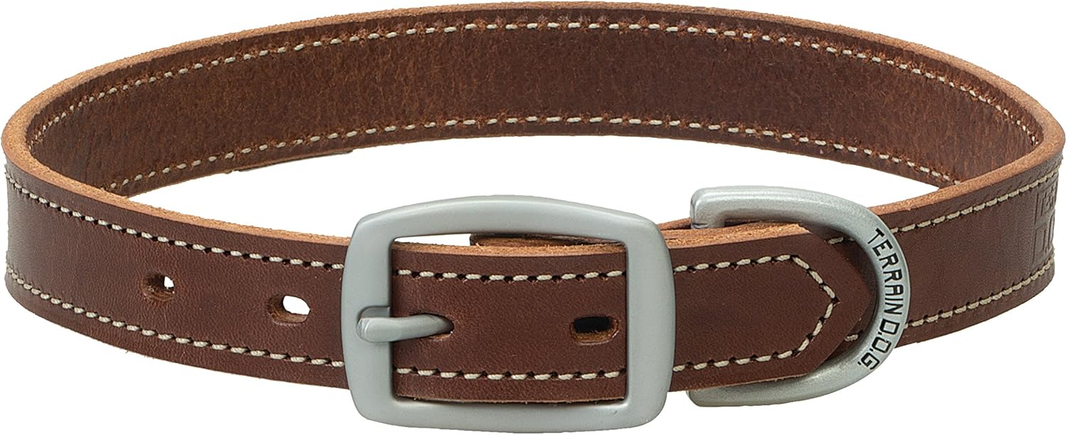 bridle leather dog collars