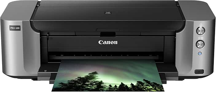 Canon PIXMA PRO-100 13-Inch x 19-Inch Professional Photo Inkjet Printer, Grey (6228B003): Amazon 