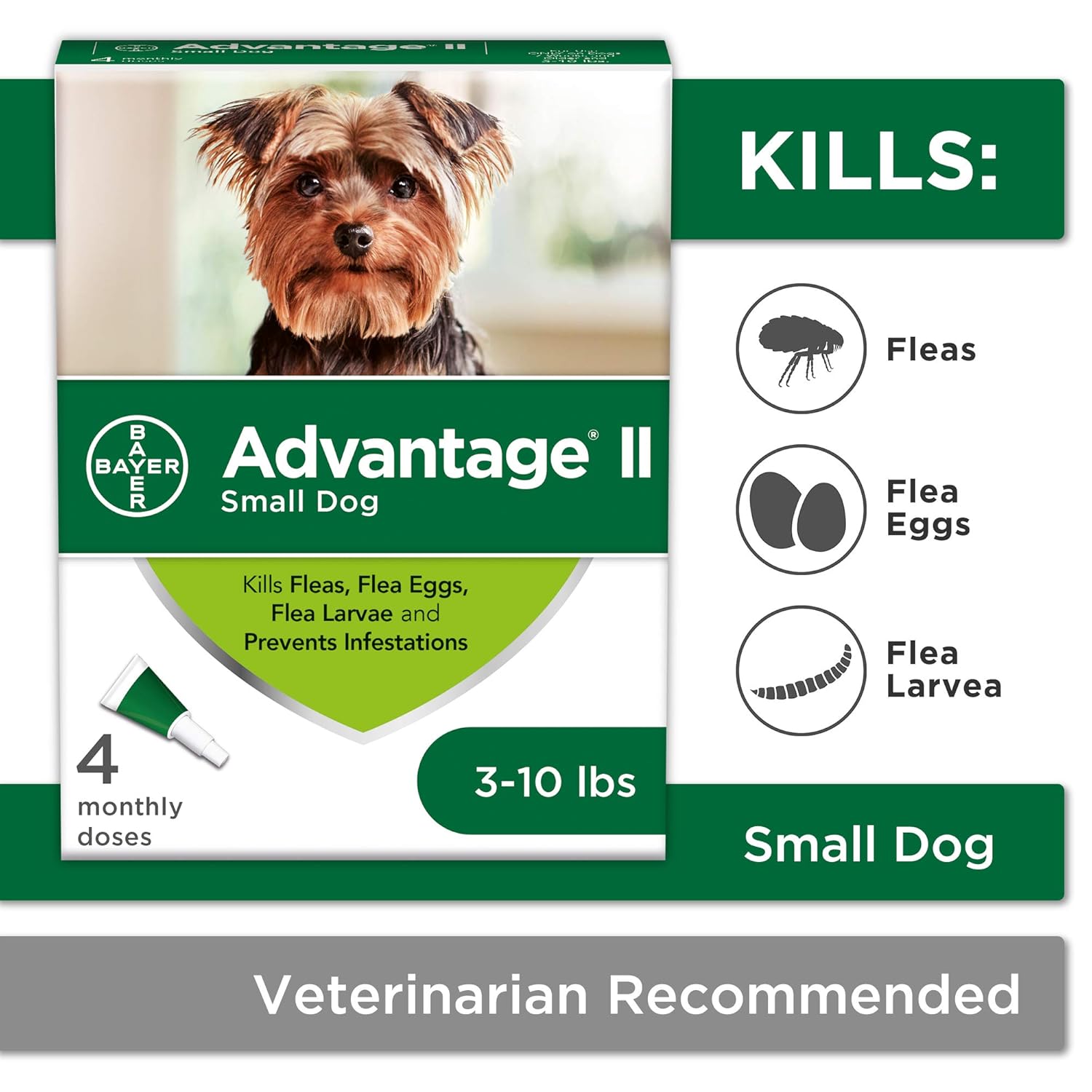 Reviews Bayer Advantage II Topical Flea Treatment for Small Dogs, 310 lbs