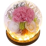 Velance Long-Lasting Real Preserved Flowers Gift Set - Red Roses & Carnations With Lights, For All Occasions