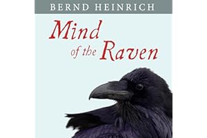 Mind of the Raven: Investigations and Adventures with Wolf-Birds