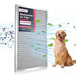Torjim 12x24x1 Air Filter-MERV8, Washable