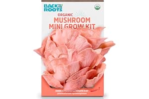 Back to the Roots Organic Pink Miniature Mushroom Grow Kit, Harvest Gourmet Mushrooms in 10 Days