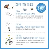 Seedball Wildflower Seed Bombs Set of 5 Tubes Bee Friendly Seeds view 3
