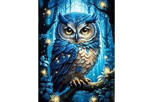 ijbnhd Owl Diamond Painting Kits for Adults-Owls Diamond Art Kits for Adults,Round 5D Animal Gem Art Kits for Adult DIY Crafts Kits Gift Home Wall Decor Gifts(12X16inch)