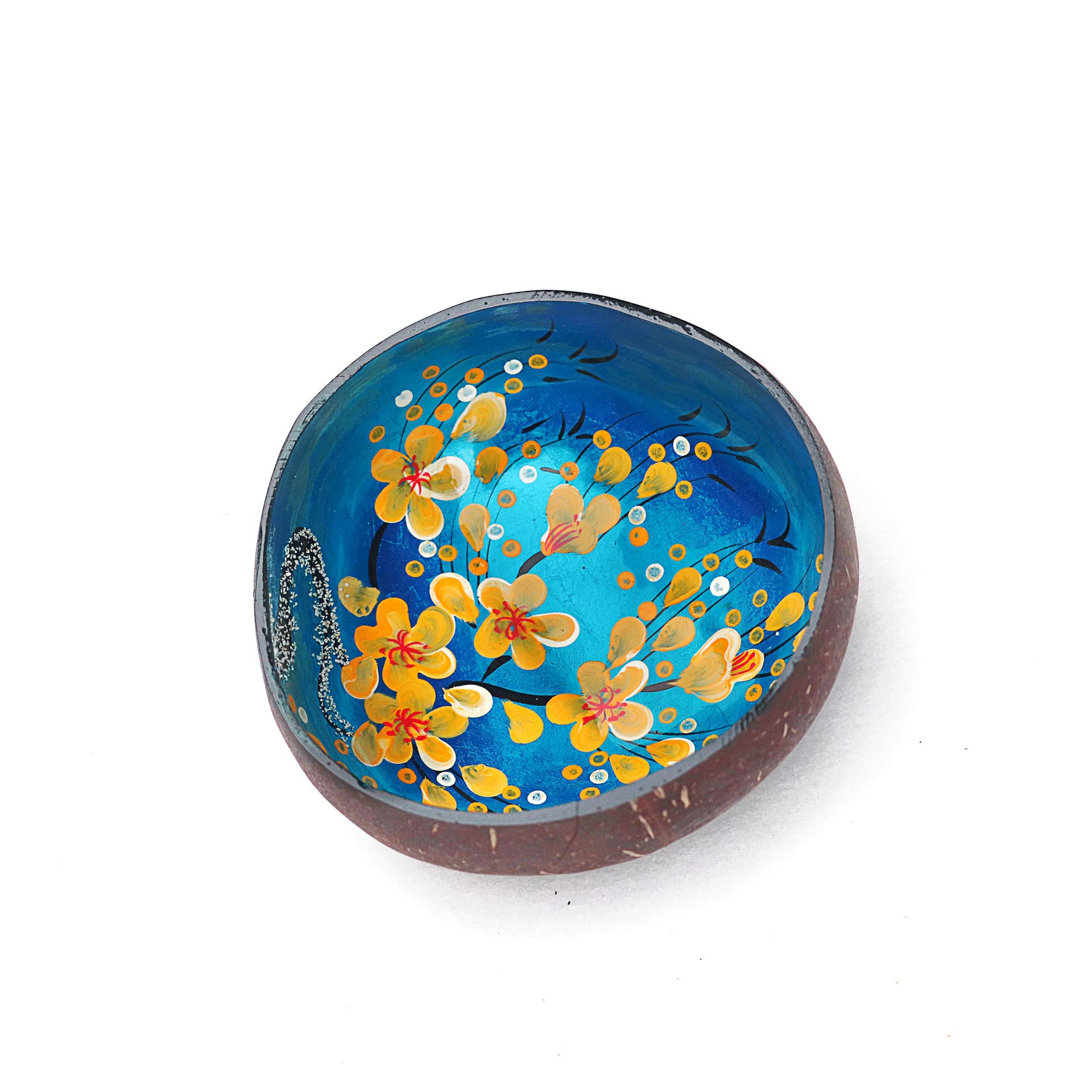YEASQGS Hand Painted Floral Coconut Bowls Natural Coconut Shell Bowl Decorative Key Storage Bowl Candy Container Nuts Holder (Blue, 1)