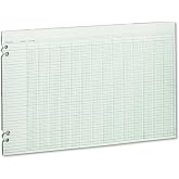 Wilson Jones Green Columnar Ruled Ledger Paper, Double Page Format, 24 Columns and 36 Lines per Page, 11 x 17 Inches, 100 Sheets per Pack (WG50-24A)