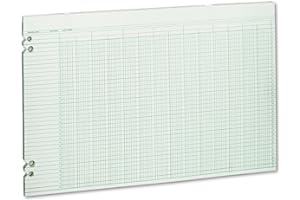 Wilson Jones Green Columnar Ruled Ledger Paper, Double Page Format, 24 Columns and 36 Lines per Page, 11 x 17 Inches, 100 Sheets per Pack (WG50-24A)