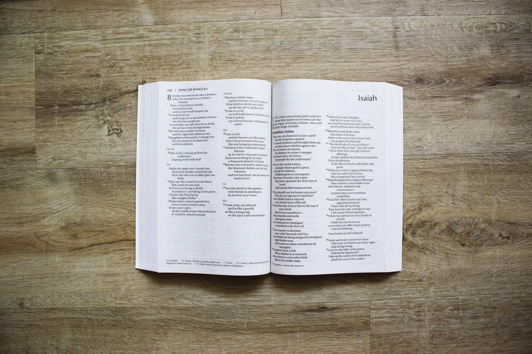 NIV, Outreach Large Print Bible for Kids, Paperback NIV, Outreach Large Print Bible for Kids, Paperback Paperback