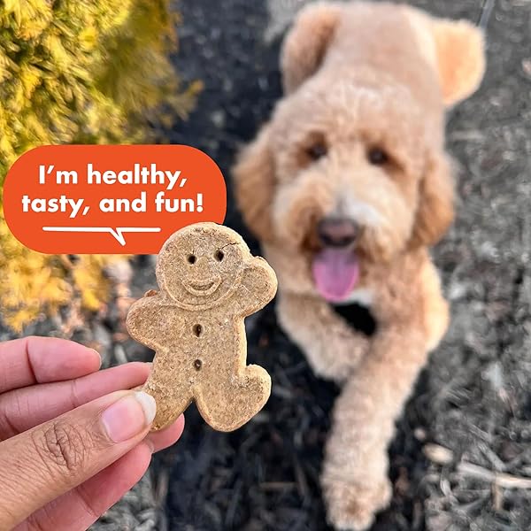 BUDDY BISCUITS CRUNCHY DOG TREATS, PEANUT BUTTER, 18 OZ. BOX