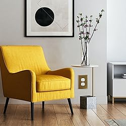 Questech Decor Single Duplex Electrical Outlet