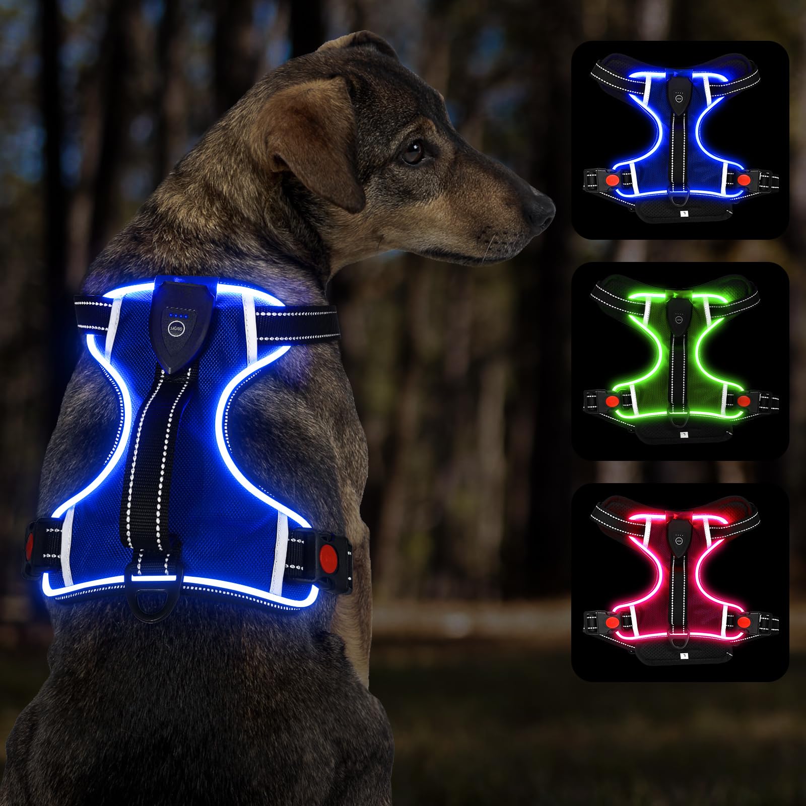 YFbrite Light up Dog Harness, Adjustable Waterproof LED Dog Harness for Small, Medium and Large Dogs (Blue, X-Large)