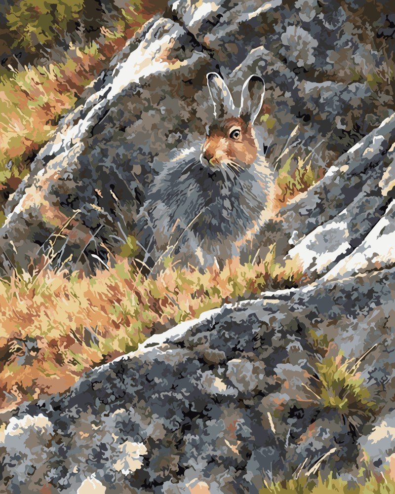 WOWDECOR Paint by Numbers Kits, Number Painting - Rabbit Mountain Scenery 16x20 inch (Framed)