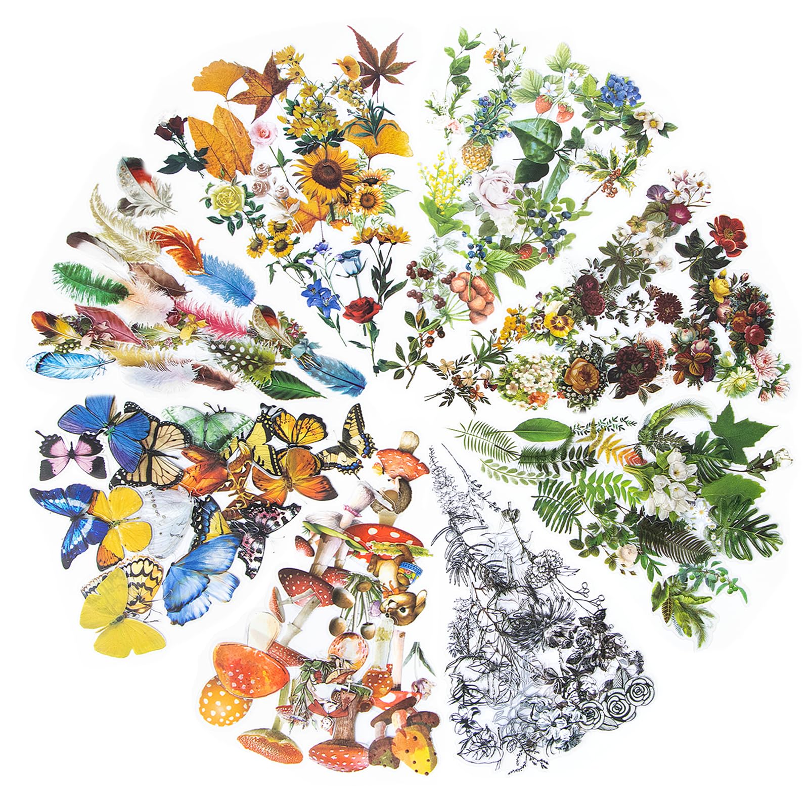 480PCS Plants Scrapbooking Stickers, 8 Series Nature Theme, Waterproof Transparent Flowers Mushroom Butterfly Feather Stickers for Scrapbook Journaling DIY Crafts Planners Art