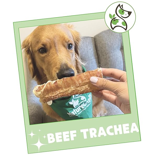 NATURE GNAWS BEEF TRACHEA CHEWS FOR DOGS 6″ (6 COUNT) – LONG LASTING NATURAL CRUNCHY DOG CHEW BONES – RAWHIDE FREE