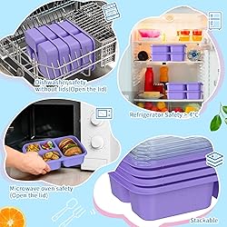 Bento Box for Adults and Snack Containers Set of 4