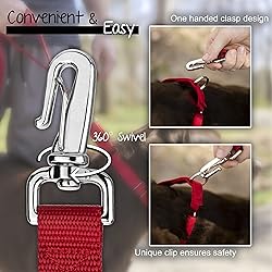 Country Brook Petz - Deluxe Nylon Dog Leash with