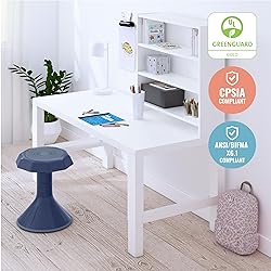 ECR4Kids ACE Active Core Engagement Wobble