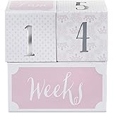 Baby Aspen My First Milestone Princess Age Blocks | Baby Picture Props for Photo Sharing The First Year