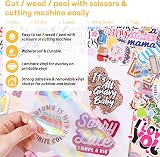 TECKWRAP Holographic Sticker Paper Laminate Film A4 28 Sheets Rainbow Glossy view 3