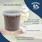 Walter’s Meal Worms 1L Tub - Dried Mealworms for Birds, Premium Protein view 4