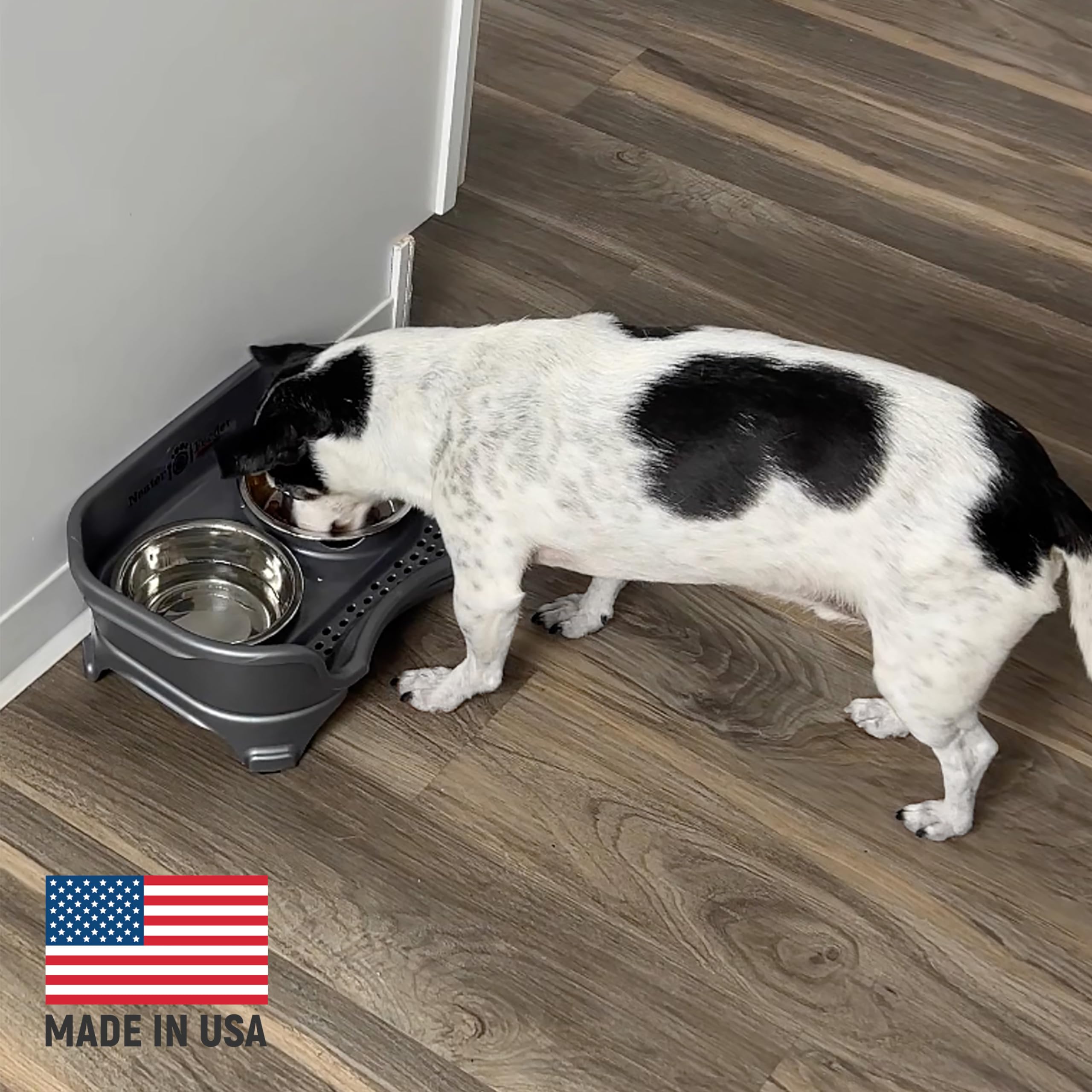 Express Pet Model