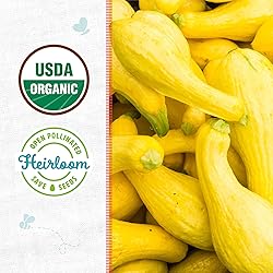 Back to the Roots 100% Organic Seed Packet - Squash